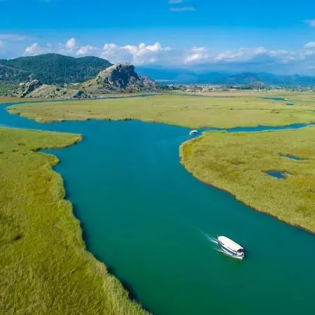 Corals * Dalyan