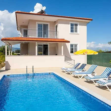 Corals * داليان