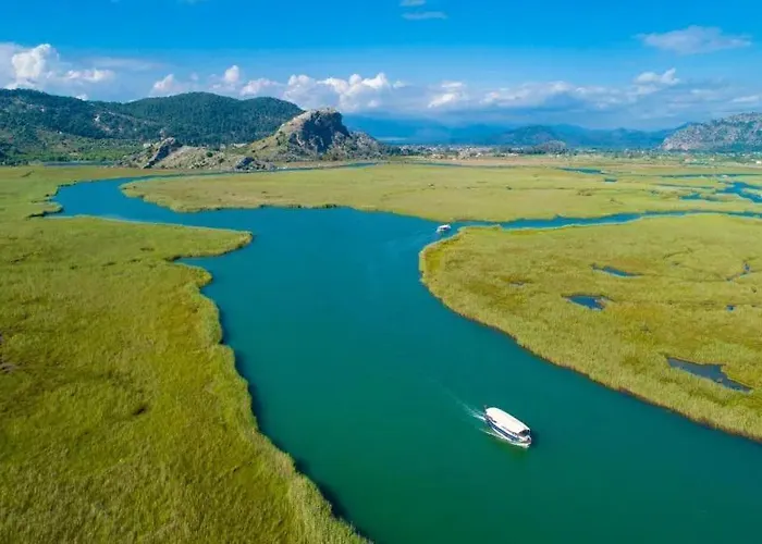 Corals * Dalyan